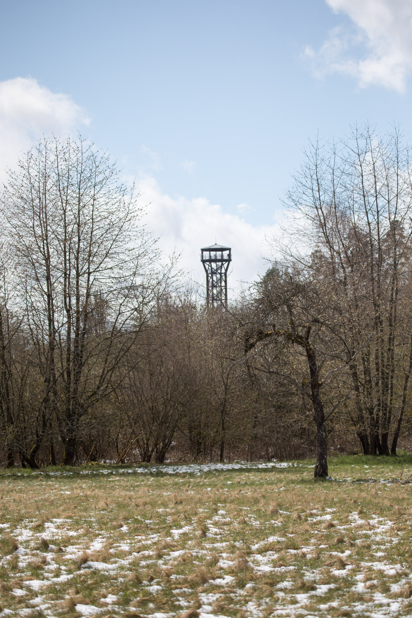 20220409143316 RD4 6427